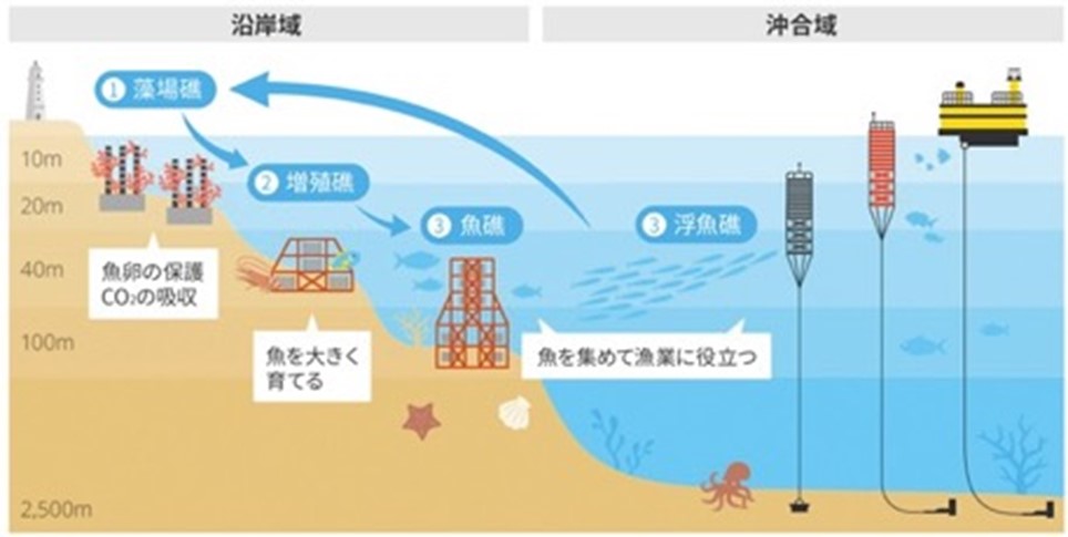 海のサステナブルサイクル（画像提供：岡部株式会社）